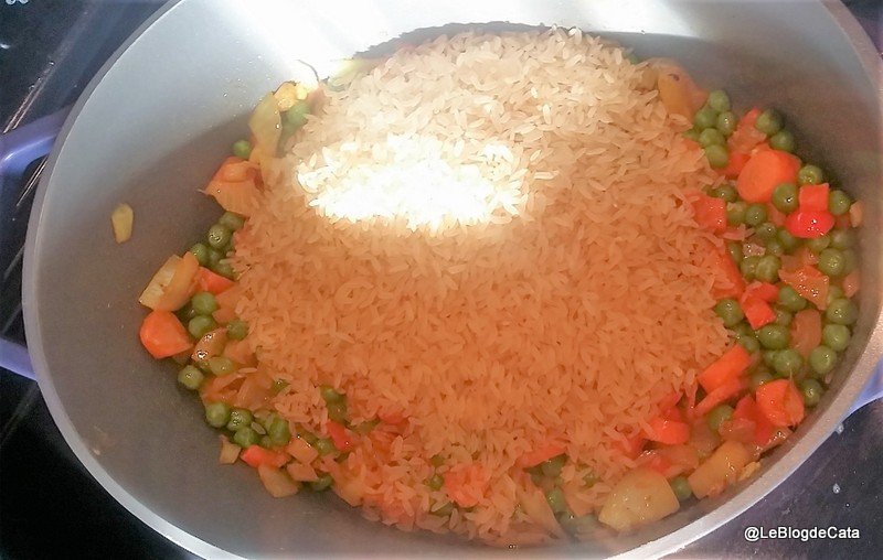 Orez cu legume / Biryani