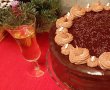 Desert tort amandina-16