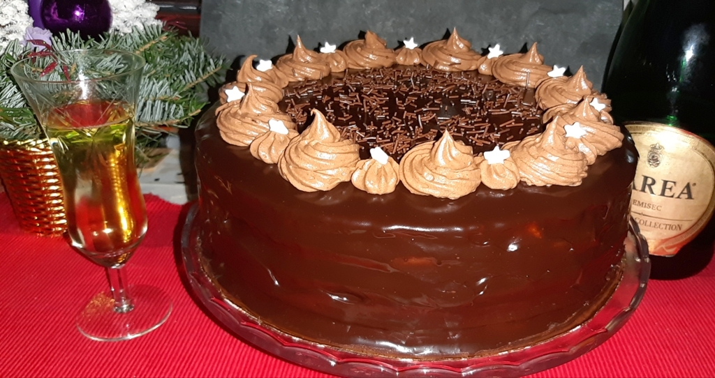 Desert tort amandina