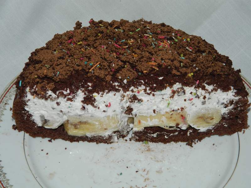 Desert tort musuroi de cartita