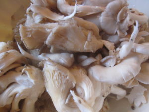 Salata de ciuperci pleurotus cu iaurt, usturoi si patrunjel