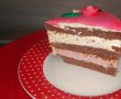 Desert tort Pink-13