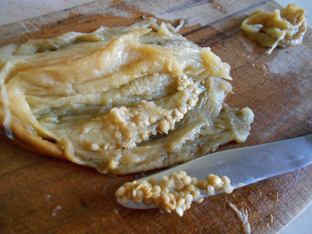 Salata fina de vinete, cu maioneza, ceapa verde si rodie