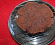 Desert tort Sacher-11