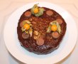 Desert tort Sacher-16