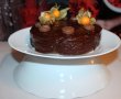 Desert tort Sacher-18