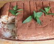 Desert Tiramisu clasic-10