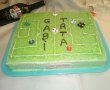 Desert tort teren de fotbal 2-11