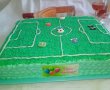 Desert tort teren de fotbal-7