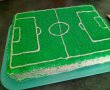 Desert tort teren de fotbal-23