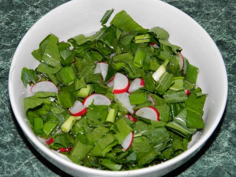 Salata de leurda