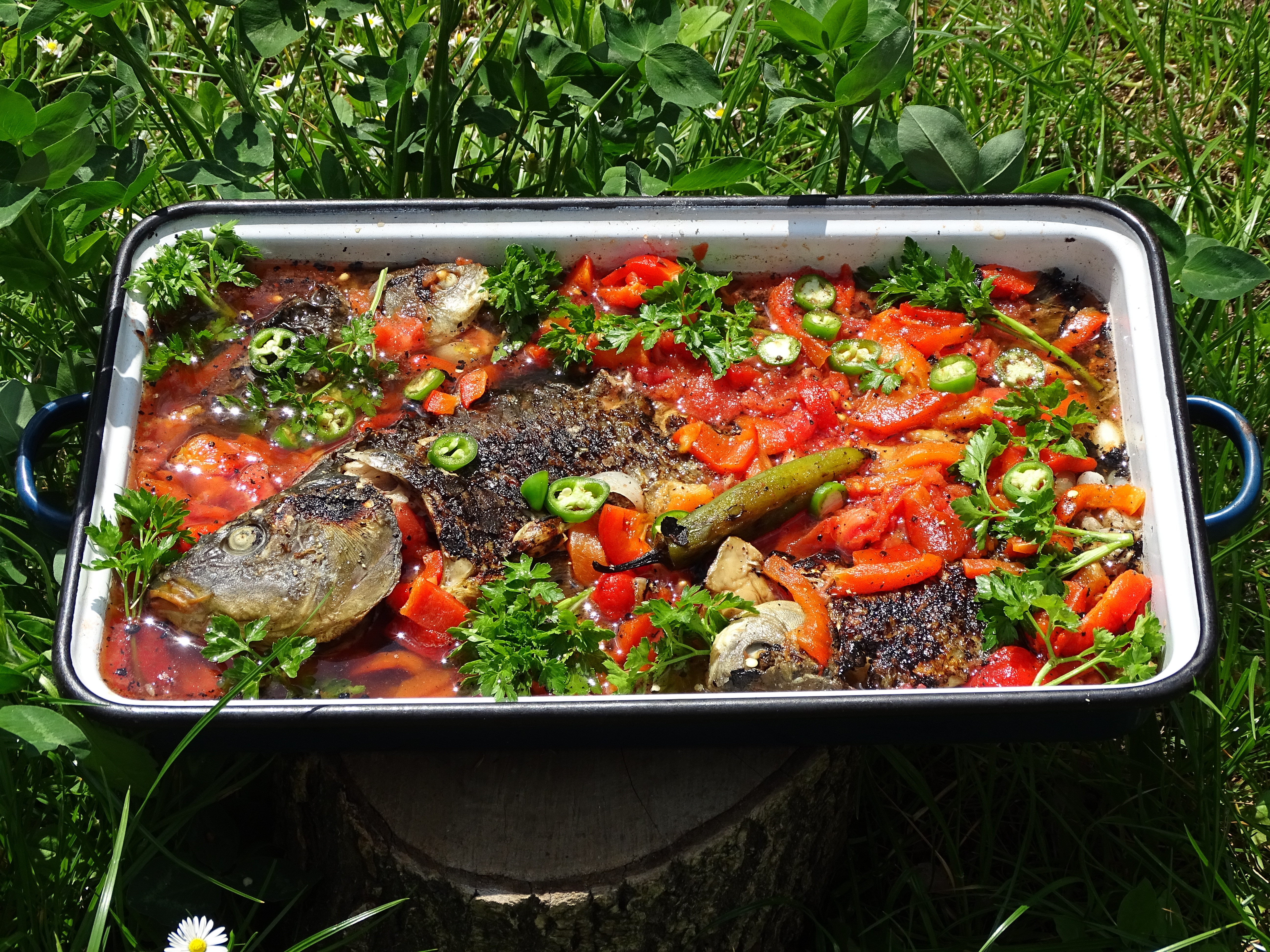 Saramura de peste cu legume coapte