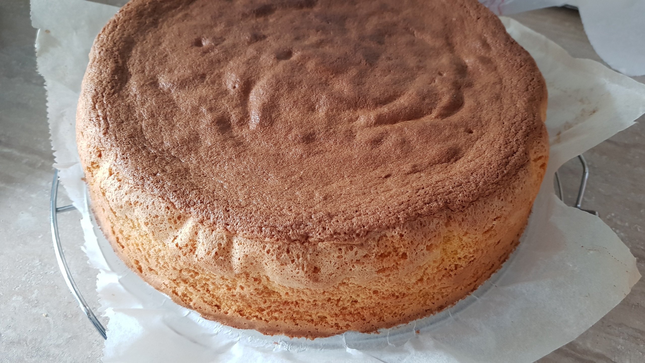 Desert tort cu mousse de ciocolata si fructe de padure