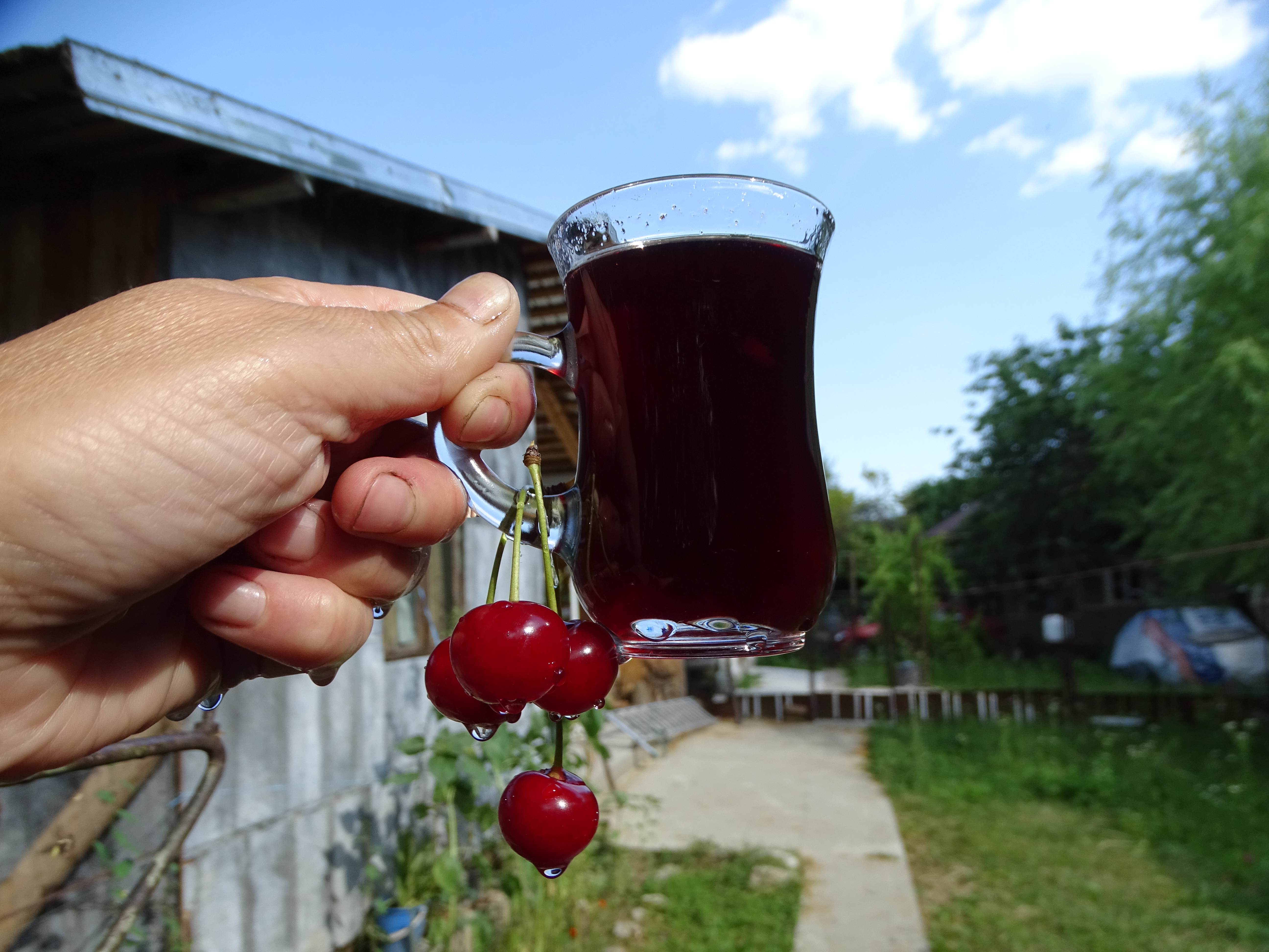 Sirop de visine