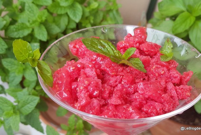 Granita de zmeura si menta