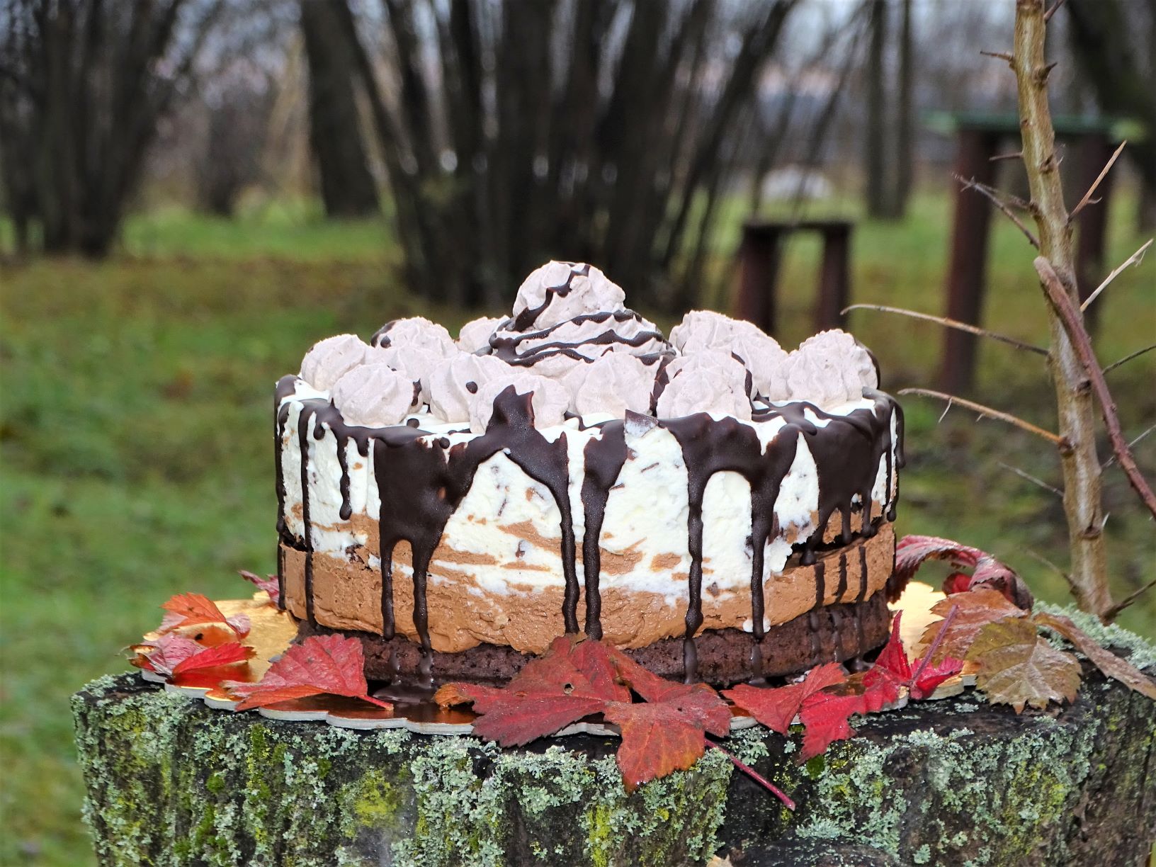 Desert tort cheesecake Tuxedo