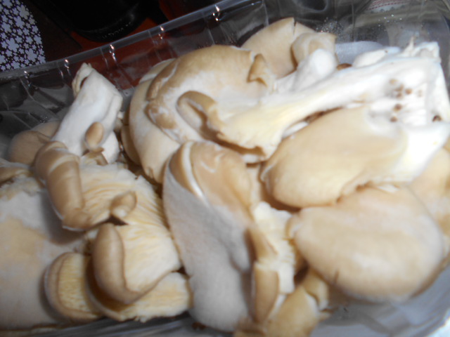 Ciulama cu ciuperci pleurotus