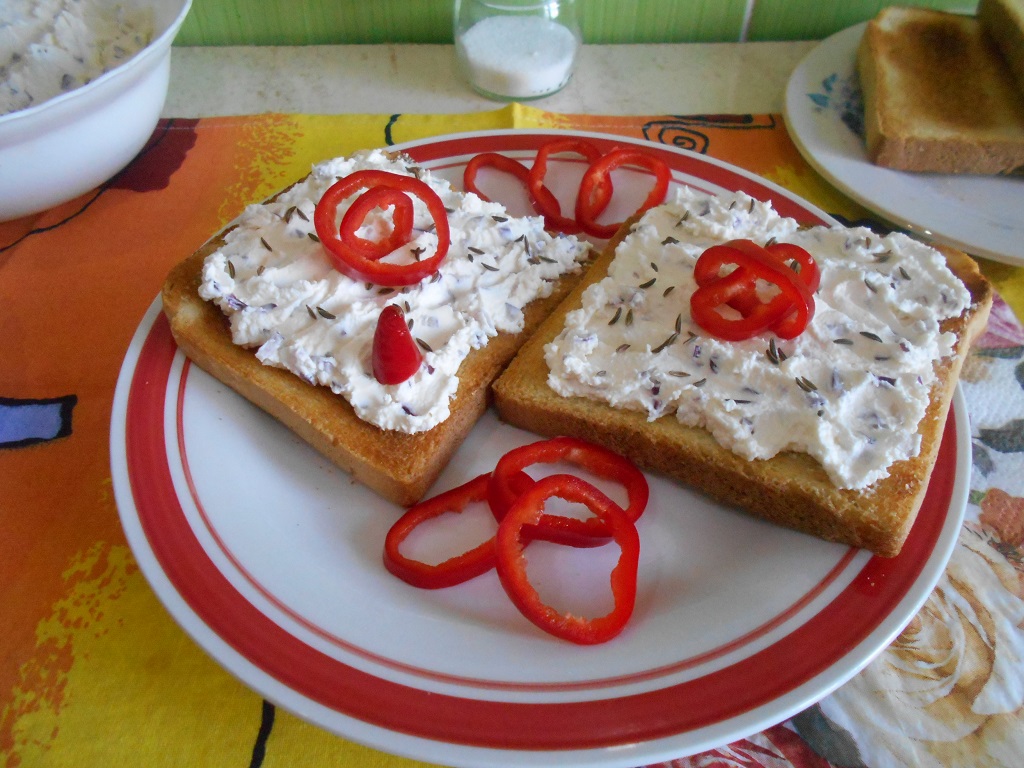 Aperitiv pasta tartinabila din branza de vaci, cu ceapa rosie si chimen