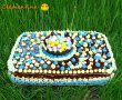 Desert tort Amandina-29