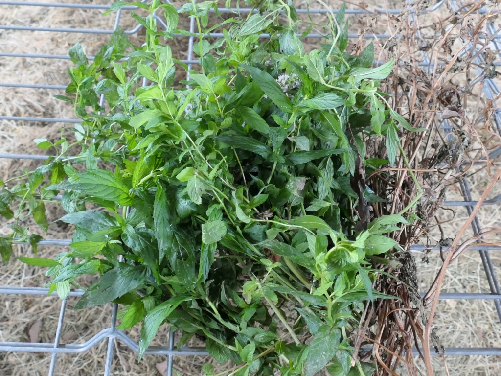 Reteta de sapun de casa cu menta si lavanda