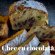 Chec cu iaurt și ciocolată - Rapid, ușor și delicios